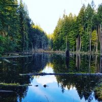 3 Beautiful Trails Around Redmond, Washington