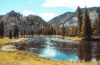 Yellowstone Vacations: From Lush Landscapes to Magical Wildlife!