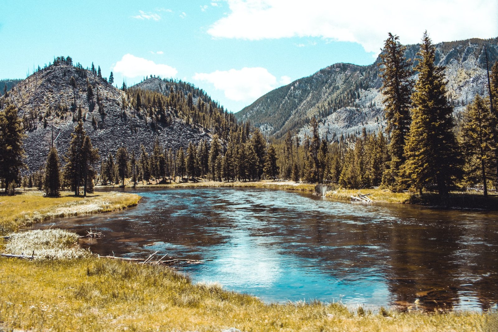 Yellowstone Vacations